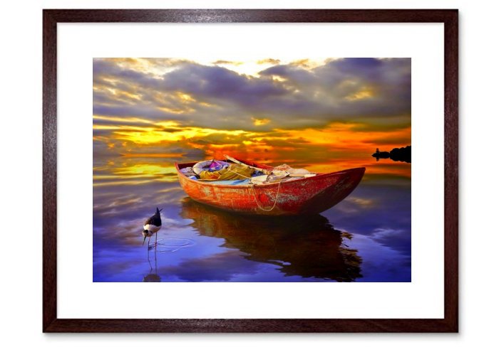 Gull At Sunset Framed Print